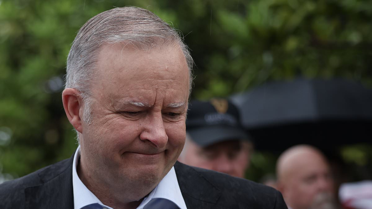 alert-–-albo-gets-a-dud-christmas-present-from-santa-this-year-as-new-polling-shows-labor-is-losing-ground-on-a-major-demographic-as-election-looms