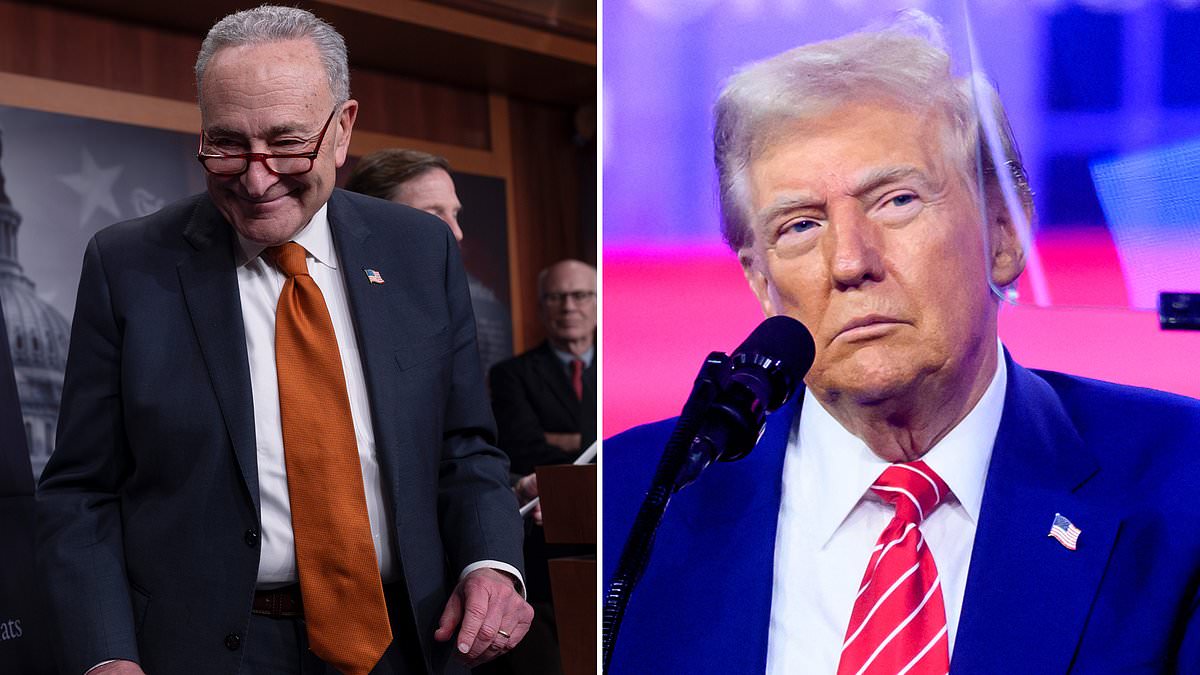 alert-–-inside-chuck-schumer’s-stealth-operation-to-block-trump’s-maga-revolution