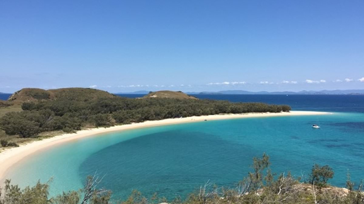 alert-–-horror-as-fisherman-dies-in-shark-attack-on-one-of-australia’s-most-scenic-great-barrier-reef-islands