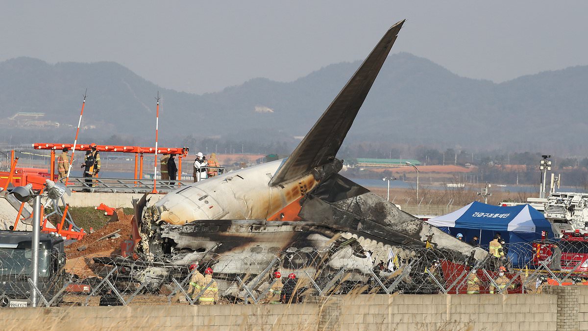 alert-–-plane-horror-witness-recalls-chilling-moment-jet-engine-exploded-as-speculation-mounts-over-what-caused-plane’s-horror-crash