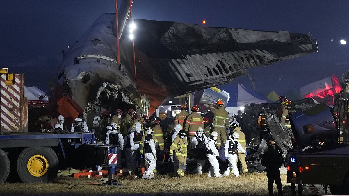 alert-–-heartbreaking-last-words-of-south-korean-plane-crash-passenger-onboard-doomed-flight-as-death-toll-hits-179