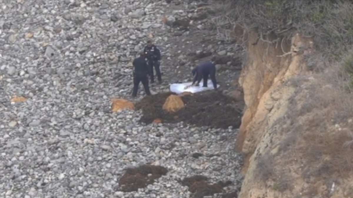 alert-–-mystery-deepens-as-decomposing-body-found-at-bottom-of-california-cliff-near-site-of-washed-up-human-remains