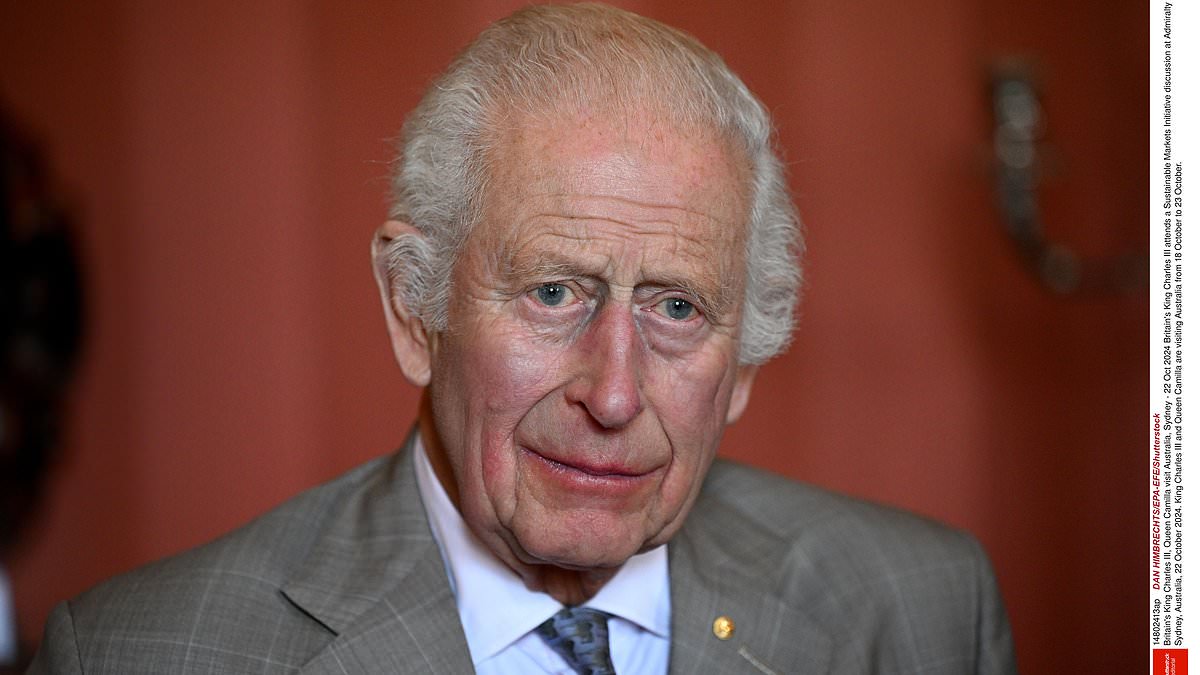 alert-–-king-charles-honours-his-royal-doctors-for-personal-service-in-new-year’s-honours-following-his-battle-with-cancer