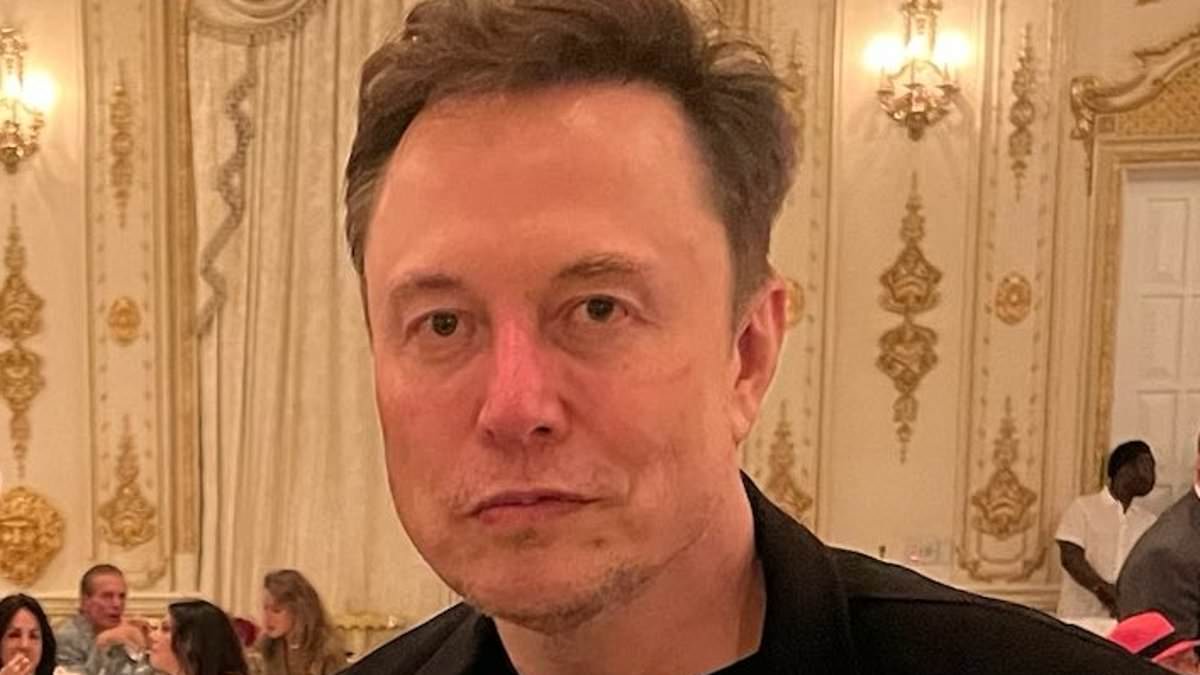 alert-–-elon-musk-is-‘renting’-$2,000-a-night-mar-a-lago-cottage-so-he-can-spend-hours-every-day-with-donald-trump