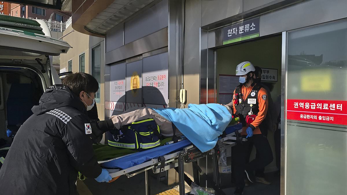 alert-–-how-did-anyone-escape-alive?-the-crucial-factors-that-explain-miracle-survival-of-two-cabin-crew-members-in-south-korean-plane-crash-inferno-that-killed-all-other-179-people-on-board