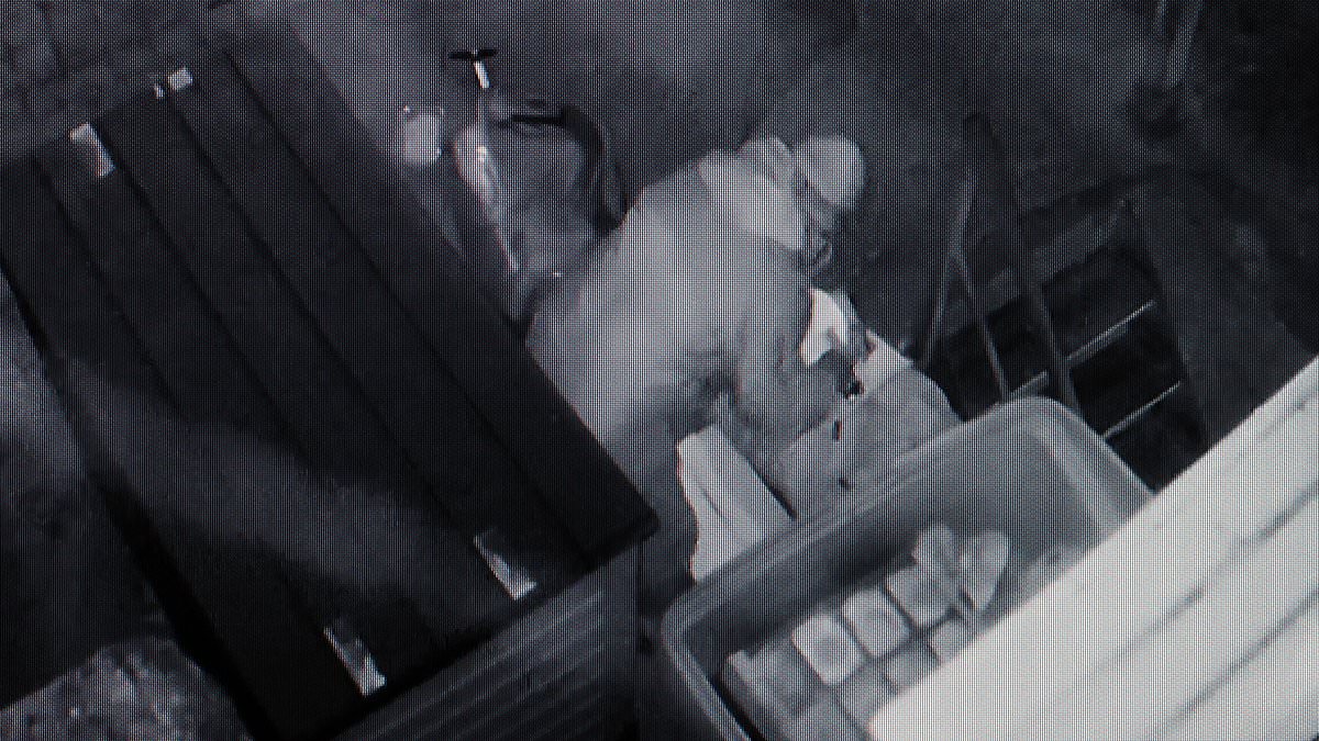 alert-–-hunt-for-cheese-robbers:-restaurant-owner-tracks-stolen-brie-by-hiding-apple-airtag-inside-wrapping-after-thief-was-caught-on-camera-pinching-dairy-products-from-storage-box