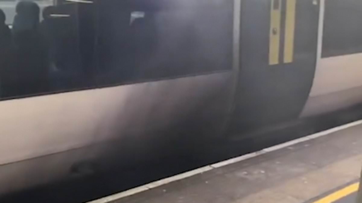 alert-–-gatwick-airport-station-evacuated-and-emergency-services-scrambled-after-‘train-catches-fire’