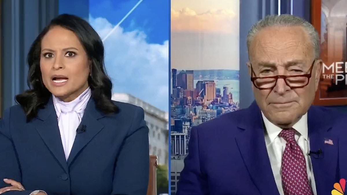 alert-–-awkward-moment-nbc’s-kristen-welker-puts-chuck-schumer-on-the-spot-about-biden’s-mental-decline