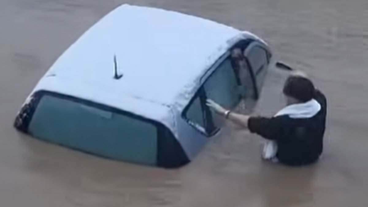 alert-–-revealed:-hero-pub-landlord-who-waded-into-rising-flood-water-to-rescue-63-year-old-woman-trapped-in-car-and-carry-her-to-safety-–-as-she-thanks-him-for-saving-her-life