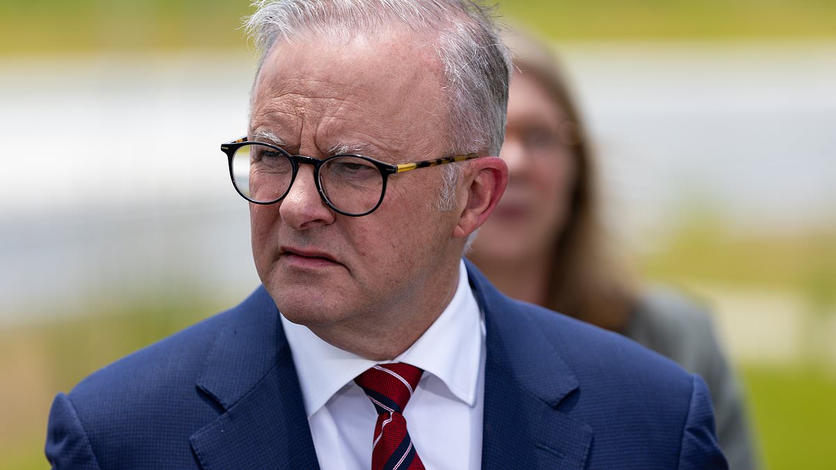 alert-–-anthony-albanese-calls-for-bold-change-to-australia’s-elections