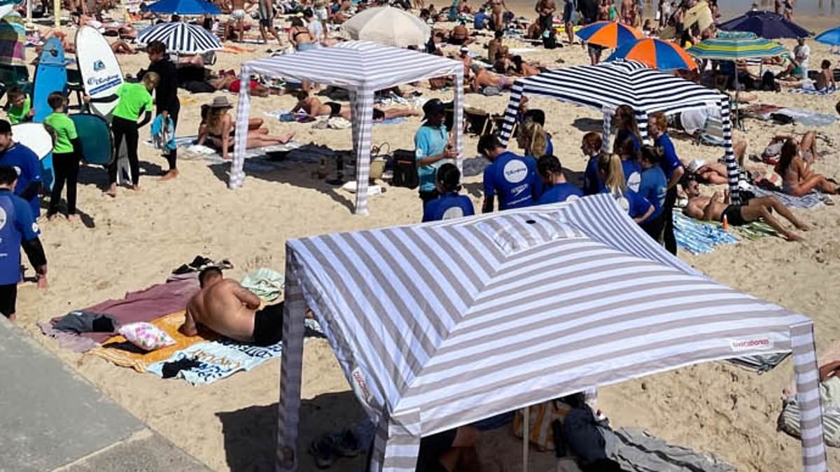 alert-–-peter-van-onselen:-anthony-albanese-weighs-into-the-most-bitter-debate-in-australia-imaginable-–-beach-cabanas-–-with-a-very-divisive-view