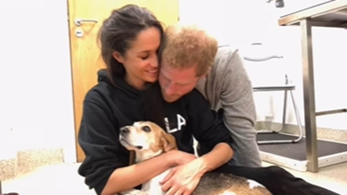 alert-–-royal-fans-gush-over-hearing-meghan-markle-and-prince-harry’s-children-in-tribute-to-beloved-family-dog