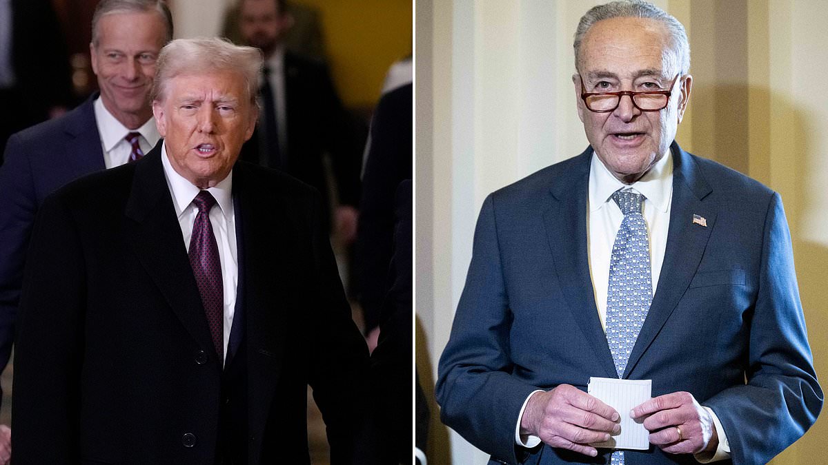 alert-–-chuck-schumer-says-democrats-will-back-trump’s-controversial-gulf-of-mexico-plan…-on-one-condition