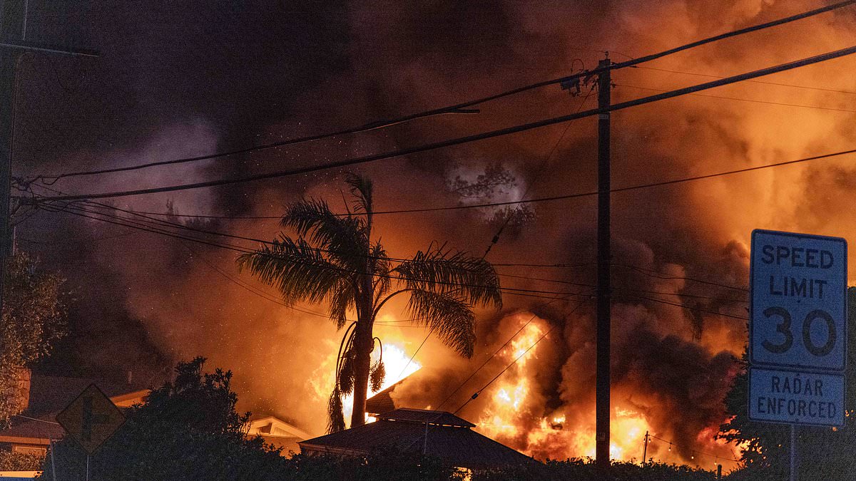 alert-–-california-fires-live-updates:-los-angeles-wildfires-sweep-through-hollywood-hills-in-apocalyptic-scenes-described-as-‘armageddon’