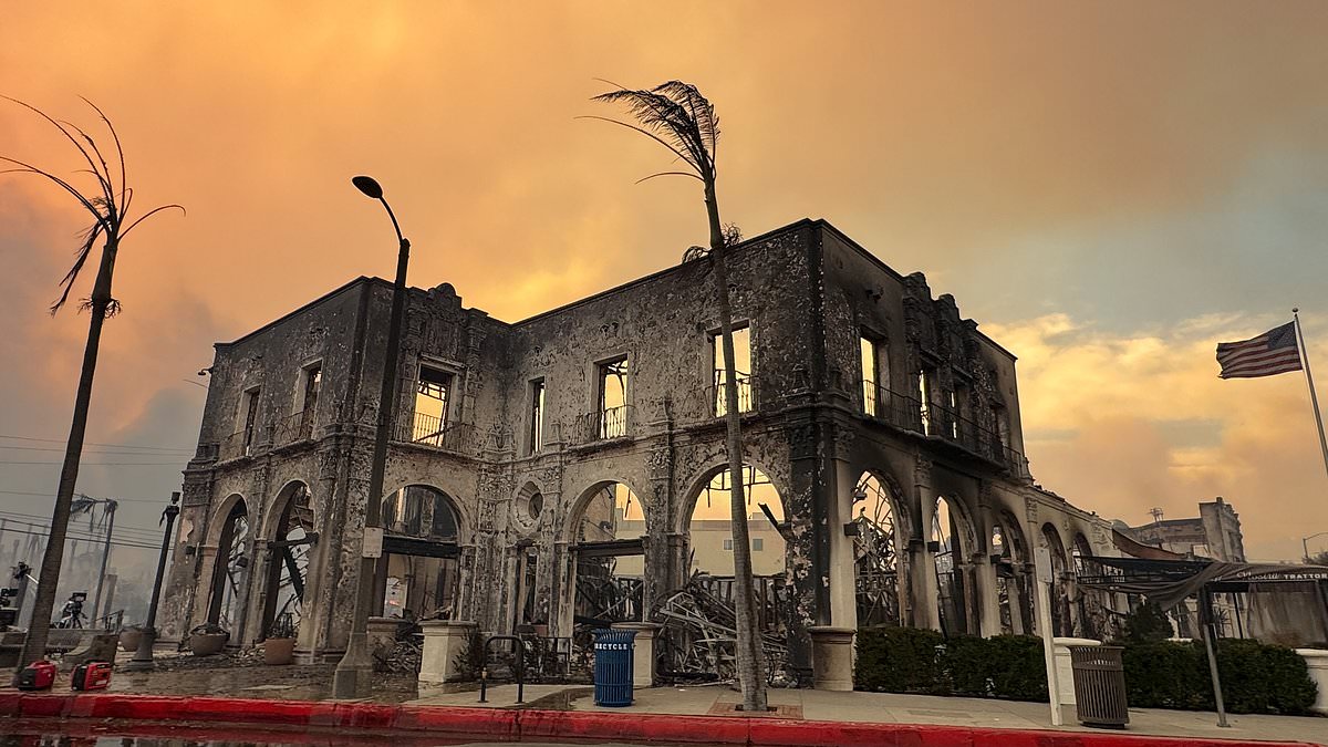 alert-–-shocking-before-and-after-pictures-show-devastating-force-of-la-wildfires-with-buildings-reduced-to-smouldering-embers-in-a-matter-of-hours