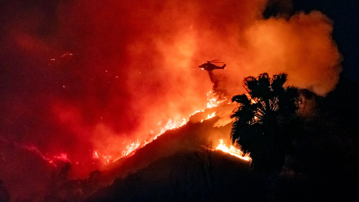 alert-–-usa-olympic-hero-gary-hall-jr.-fears-he’s-lost-his-gold-medals-to-la-fires-after-fleeing-pacific-palisades