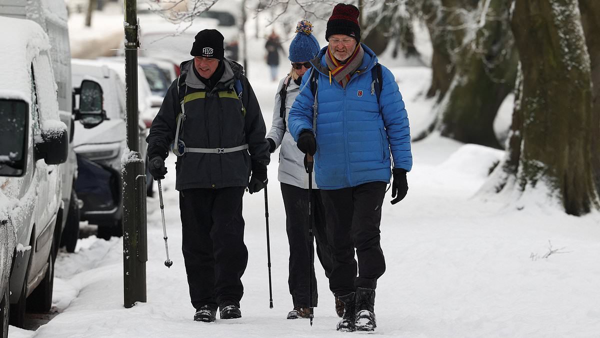 alert-–-gas-supplies-are-‘concerningly-low’-and-uk-narrowly-avoided-power-cuts-amid-fears-labour’s-net-zero-will-put-the-lights-out during-20c-cold-snap