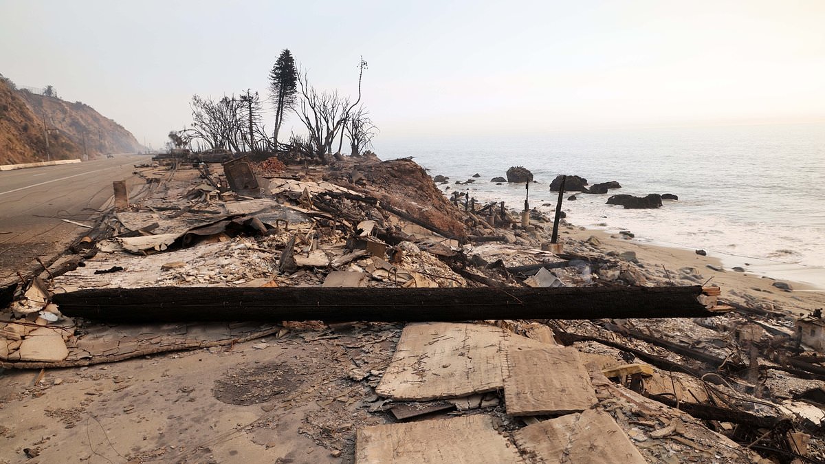 alert-–-powerball-winner-edwin-castro’s-malibu-home-torched-by-la-fires-as-celebrities-pick-up-the-pieces