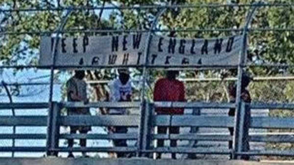 alert-–-state-supreme-court-sides-with-neo-nazi-group-over-racist-banner