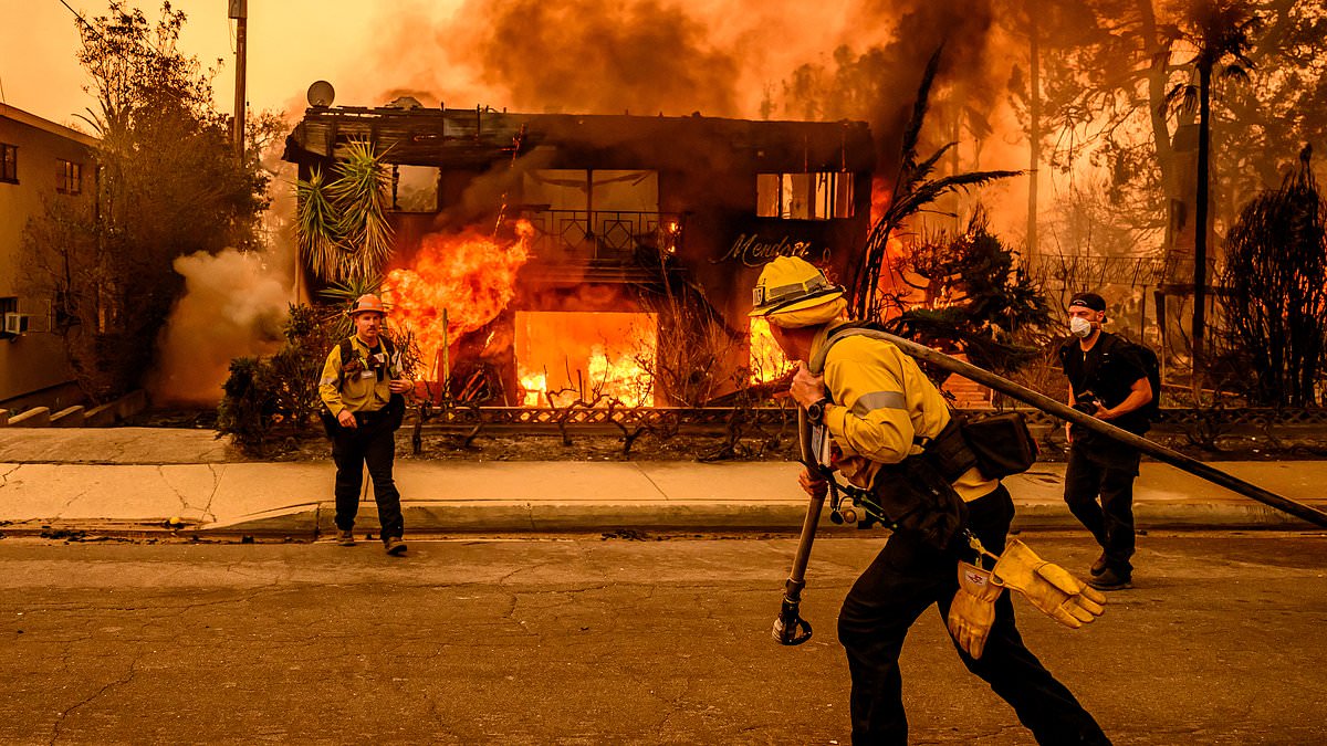 alert-–-a-furious-blame-game-has-erupted-over-the-cause-of-the-la-inferno-that-has-killed-11-and-left-thousands-homeless.-now,-as-david-patrikarakos-reveals,-a-new-theory-has-emerged-–-and-it-could-spell-the-end-for-gavin-newsom