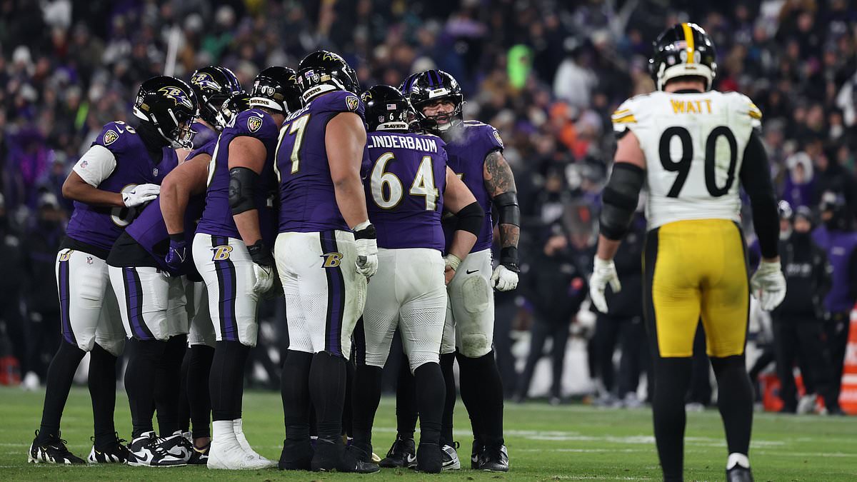 alert-–-nfl-fans-are-left-speechless-as-ravens-steelers-playoff-game-is-delayed-for-very-peculiar-reason