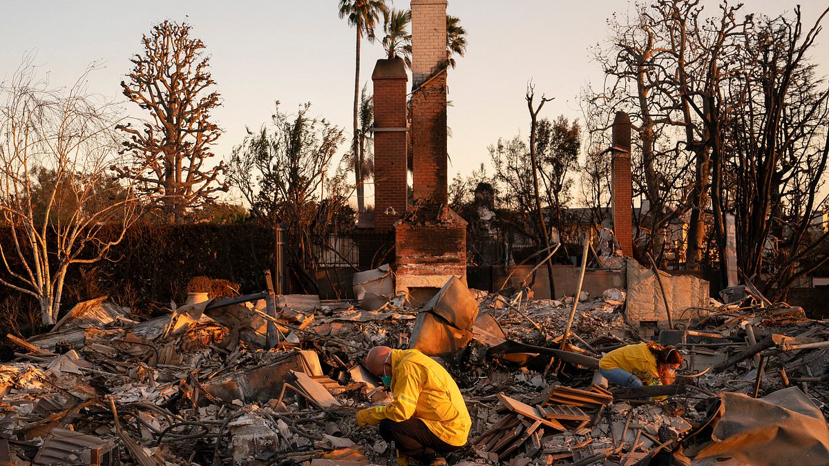 alert-–-why-la-fires-will-hit-almost-every-american-in-the-pocket-even-if-you-live-nowhere-near-california