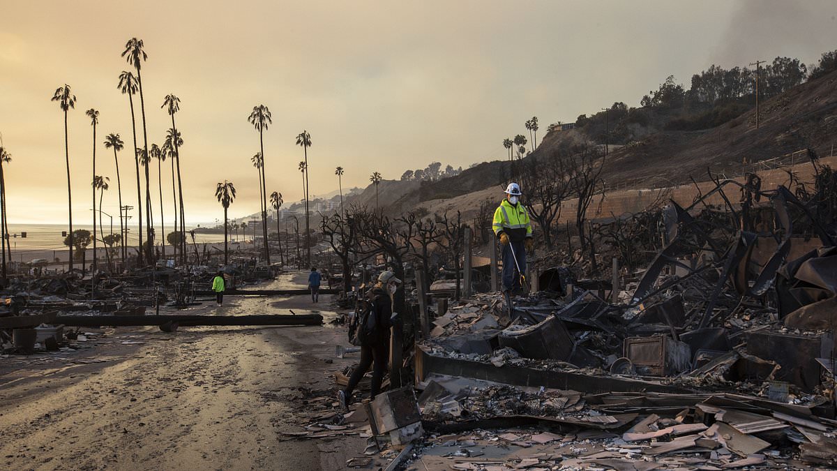 alert-–-wild-conspiracy-theories-over-la-fires-emerge-after-lush-green-palm-trees-stand-untouched-amid-burning-wreckage