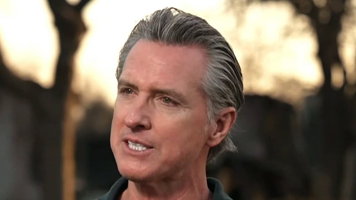 alert-–-gavin-newsom-is-slammed-for-car-crash-interview-as-he-furiously-tries-to-shift-blame-for-la-fires