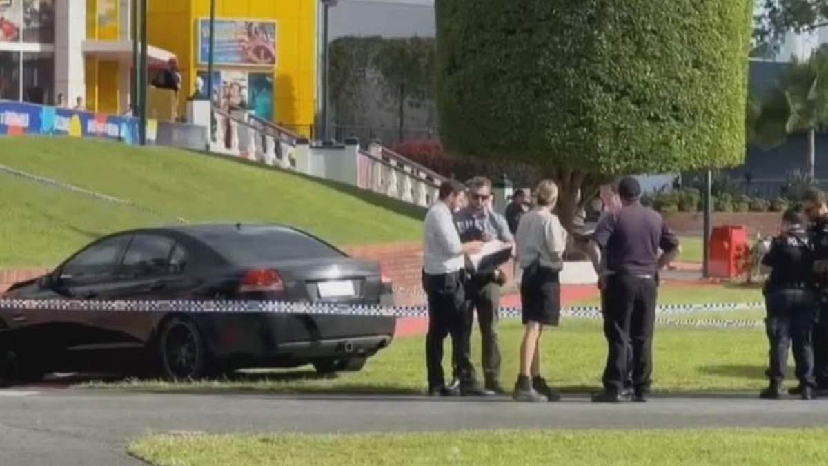 alert-–-three-injured-in-dreamworld-drama-–-as-police-launch-an-urgent-investigation