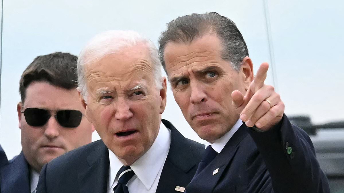 alert-–-hunter-biden-prosecutor-tears-into-joe-for-‘politicized’-claims-and-reveals-whether-he-faced-more-charges