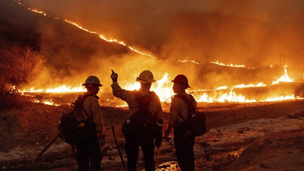 alert-–-la-fire-department-failed-to-deploy-1,000-fighters-and-dozens-of-engines-in-advance-of-devastating-blaze