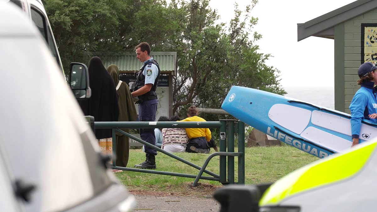 alert-–-horror-scenes-as-teen’s-body-is-pulled-from-the-water-of-werri-lagoon-near gerringong