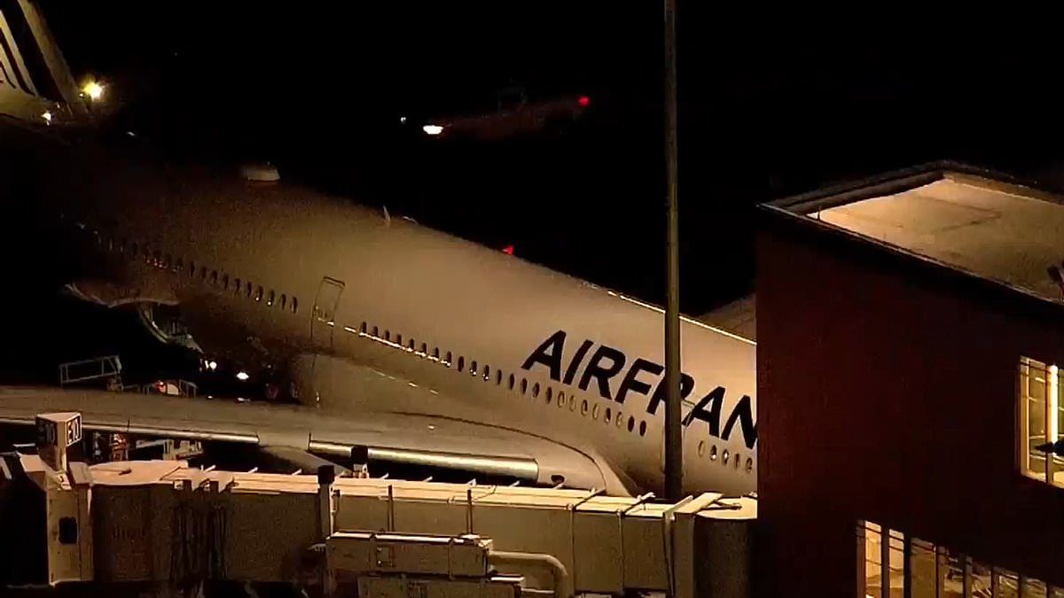 alert-–-plane-horror-as-passenger-dies-on-board-air-france-flight-from-paris-to-boston-despite-doctor-trying-to-save-them