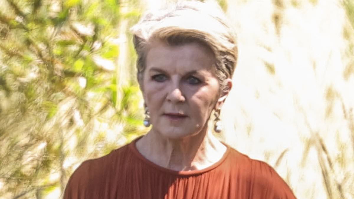 alert-–-julie-bishop-like-you’ve-never-seen-her-before!-australia’s-unofficial-minister-for-fashion-poses-for-a-very-glamorous-photoshoot-in-sydney