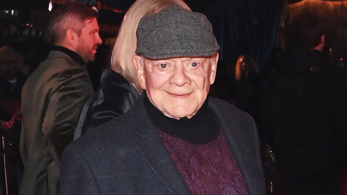 alert-–-sir-david-jason,-84,-seen-for-the-first-time-with-wife-gill-posing-on-the-red-carpet-just-hours-after-only-fools-and-horses-co-star-diane-langton’s-death-was-announced