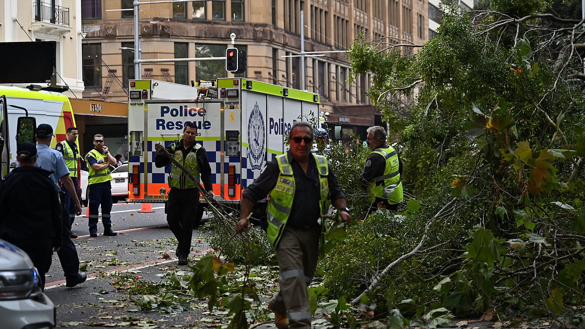 alert-–-two-people-crushed-in-hyde-park,-sydney-after-tree-falls