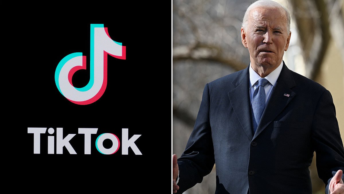 alert-–-tiktok-reveals-it-plans-to-‘go-dark’-on-sunday-unless-joe-biden-intervenes-‘immediately’-to-stop-ban