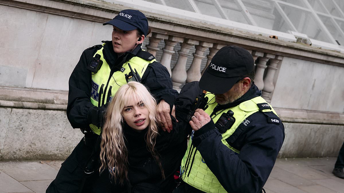 alert-–-pro-palestinian-protesters-force-their-way-through-police-lines-as-met-rush-in-reinforcements-and-arrest-eight-in-london-demo-despite-gaza-ceasefire-deal