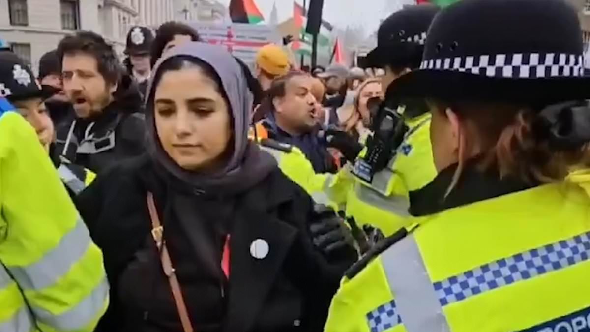 alert-–-police-officers-accused-of-manhandling-‘pregnant’-woman-during-pro-palestine-protest-that-went-ahead-despite-gaza-ceasefire-deal-–-as-77-are-arrested