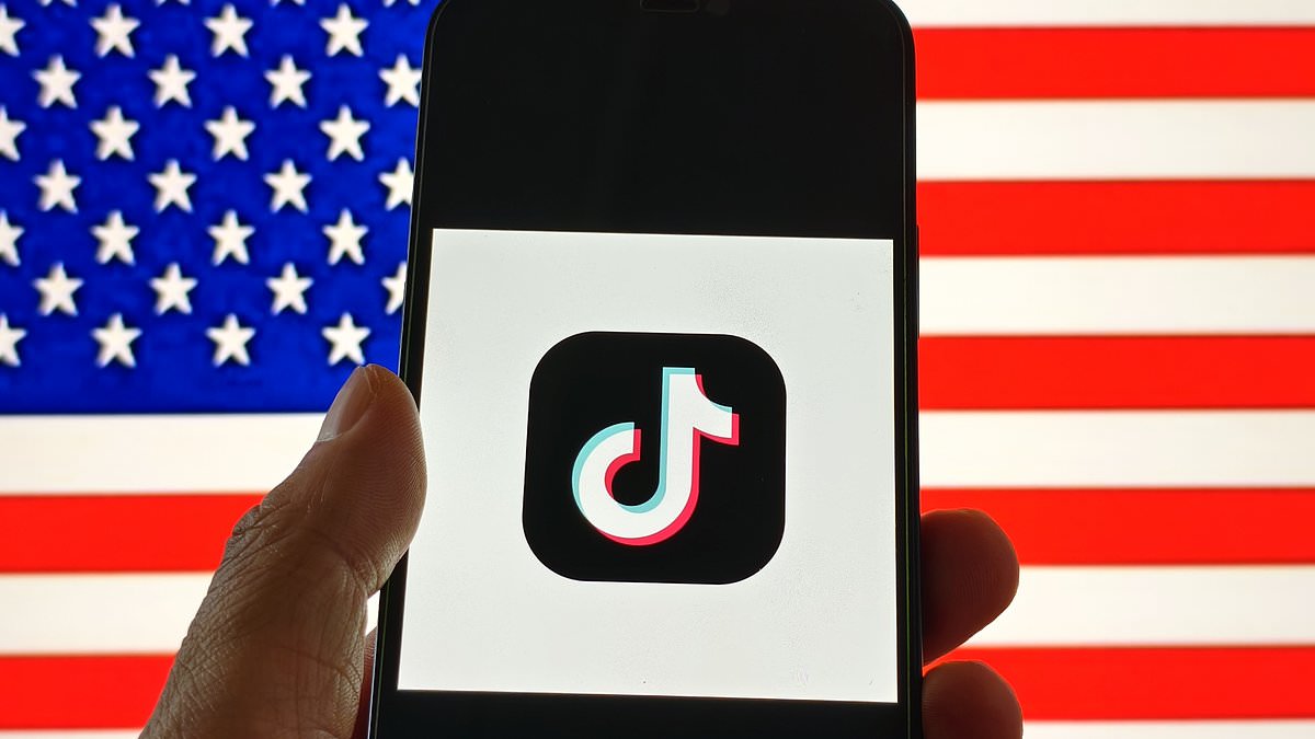 alert-–-tiktok-officially-goes-dark…-but-the-banned-app-says-‘please-stay-tuned’-for-trump-intervention