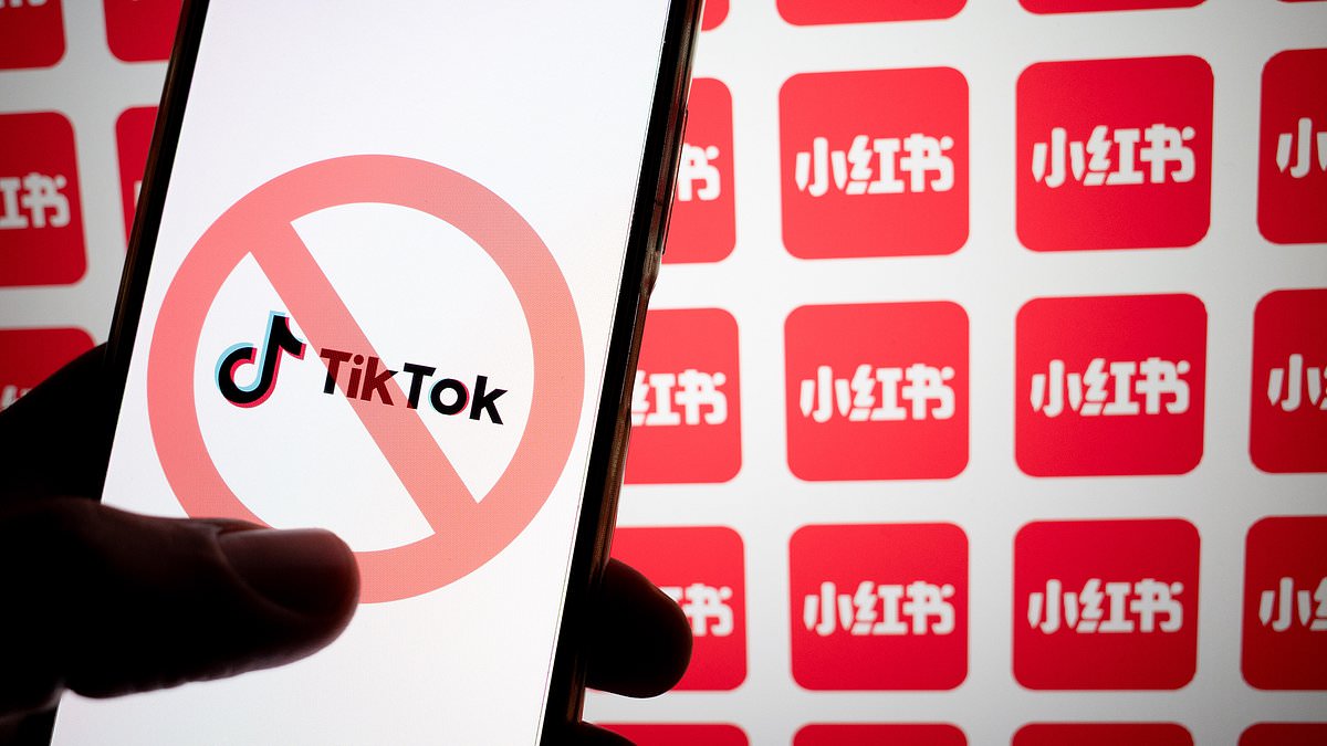 alert-–-how-to-access-tiktok-after-the-ban:-tips-for-using-a-vpn-and-all-the-alternative-apps