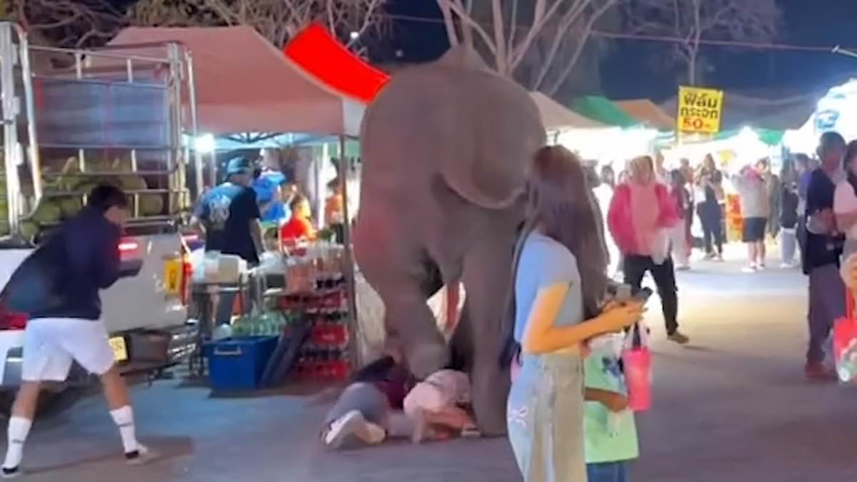 alert-–-terrifying-moment-elephant-tramples-five-people-after-it’s-scared-by-fireworks-at-a-thai-festival