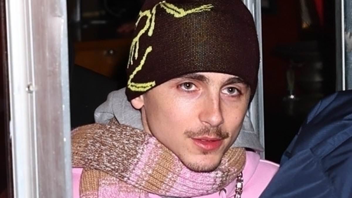 alert-–-timothee-chalamet-carries-another-chanel-purse-in-nyc-fueling-rumors-he-raided-kylie-jenner’s-closet