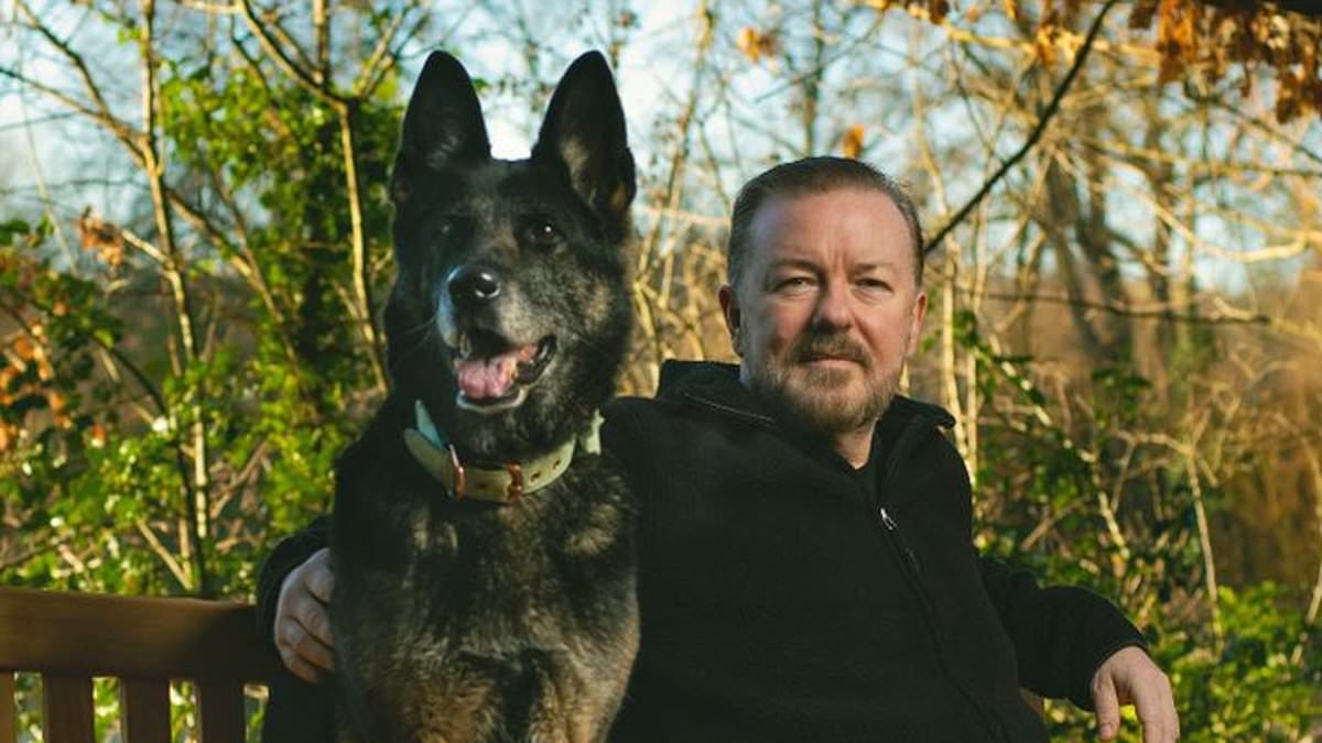 alert-–-ricky-gervais-pays-tribute-to-his-‘beautiful’-canine-co-star-anti-as after-life-dog-dies-age-13