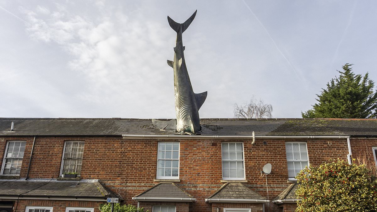 alert-–-iconic-house-with-25ft-shark-sticking-out-of-its-roof-goes-up-for-rent-–-after-the-owner-was-banned-from-using-the-‘piece-of-living-art’-as-an-airbnb