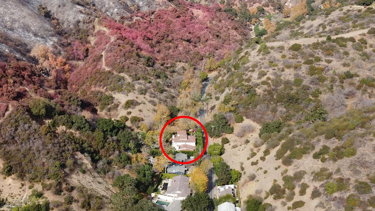 alert-–-ingenious-way-rfk-jr-stopped-his-house-from-burning-down-in-la-fires-while-neighbors-homes-were-torched