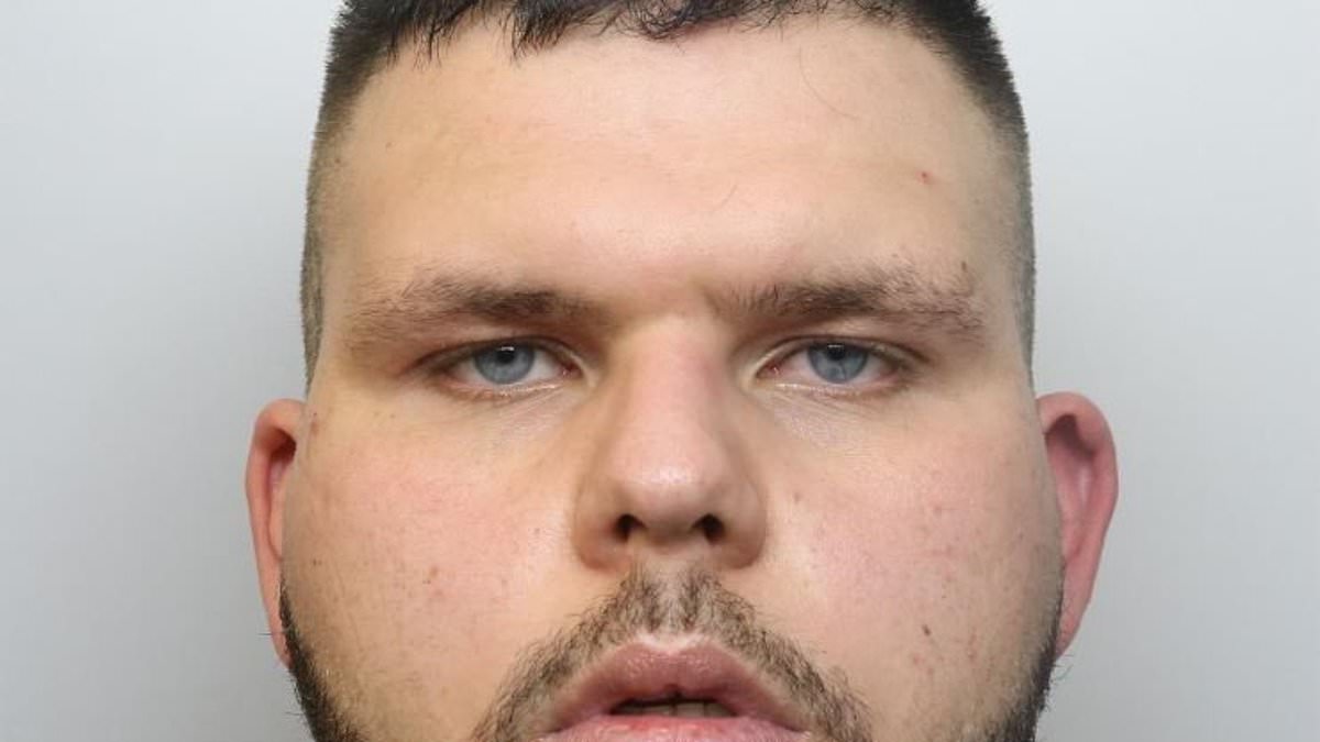 alert-–-chilling-moment-monster-googles-‘if-baby-hits-its-head-does-it-sleep-a-lot’-in-mcdonald’s-–-as-he-is-jailed-for-21-years-for-vicious-attacks-that-left-eight-week-old-girl-disabled-and-looking-like-car-crash-victim