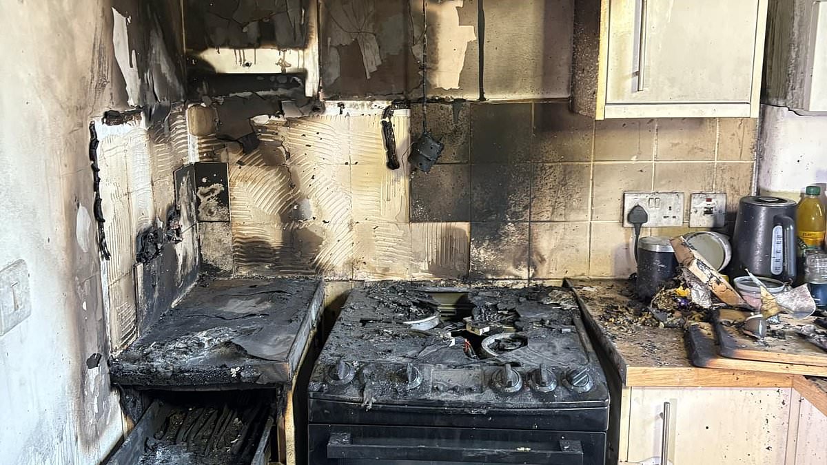 alert-–-single-mother-loses-‘everything’-after-air-fryer-explodes-and-sets-fire-to-her-home