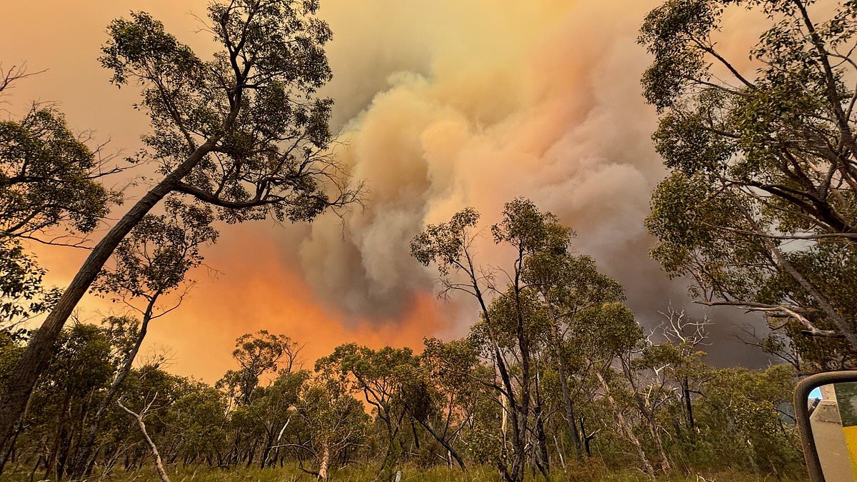 alert-–-‘you-are-in-danger’:-drastic-warning-as-bushfires-burn-out-of-control-in-victoria