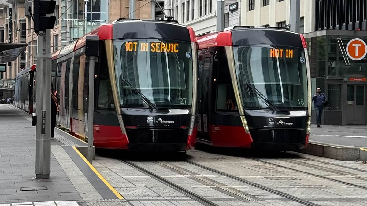 alert-–-sydney-light-rail-services-ground-to-a-halt-causing-commuter-chaos